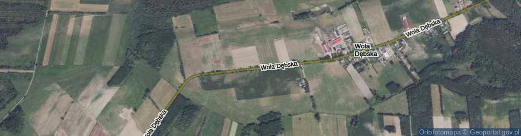 Zdjęcie satelitarne Wola Dębska ul.